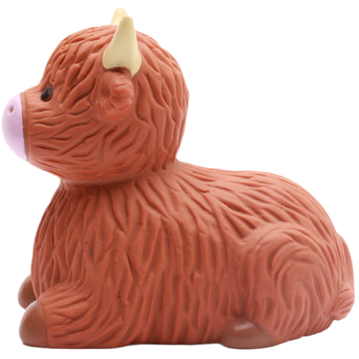 Vache des Highlands de Bain