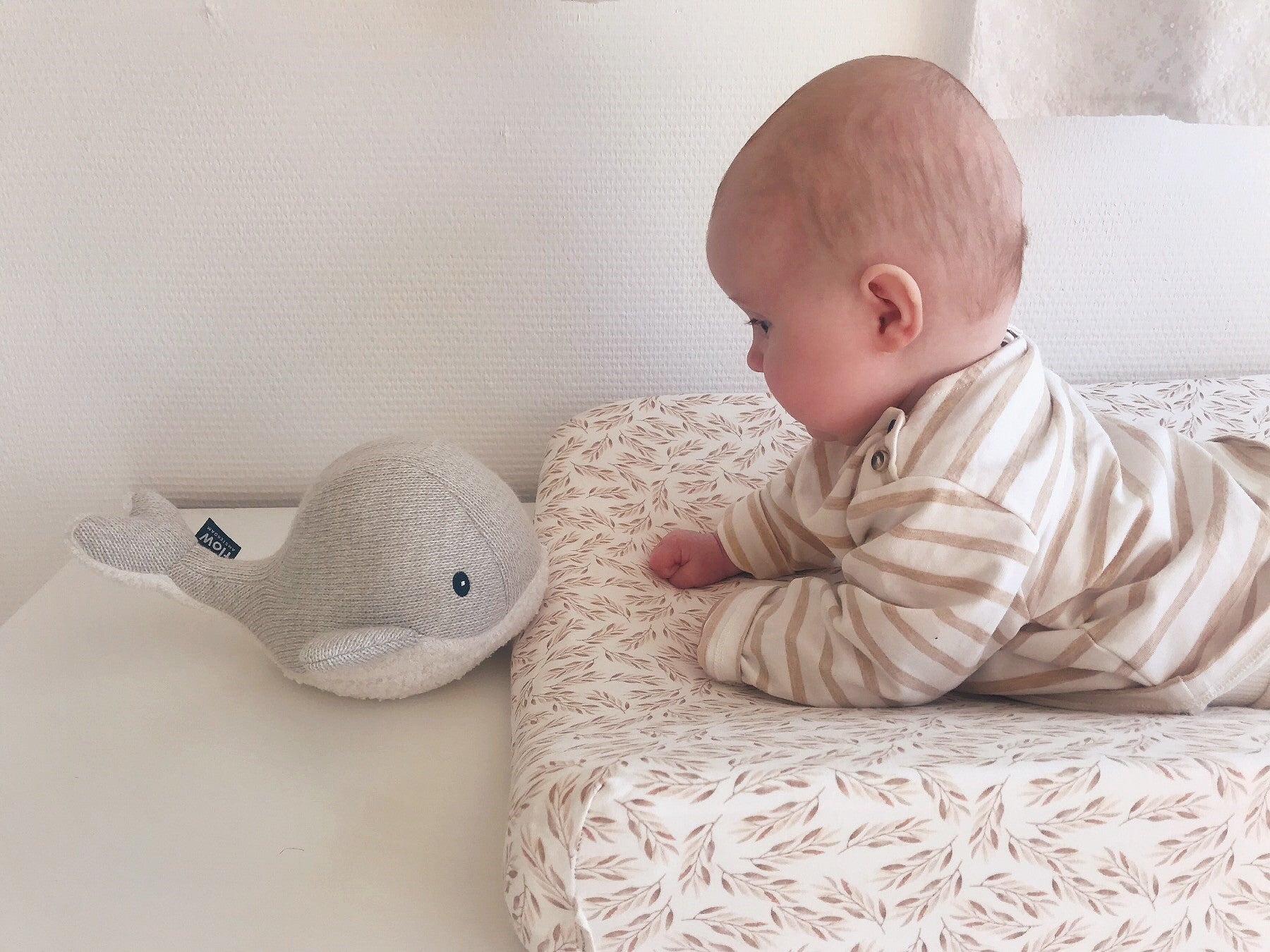 Peluche Bruit Blanc Moby