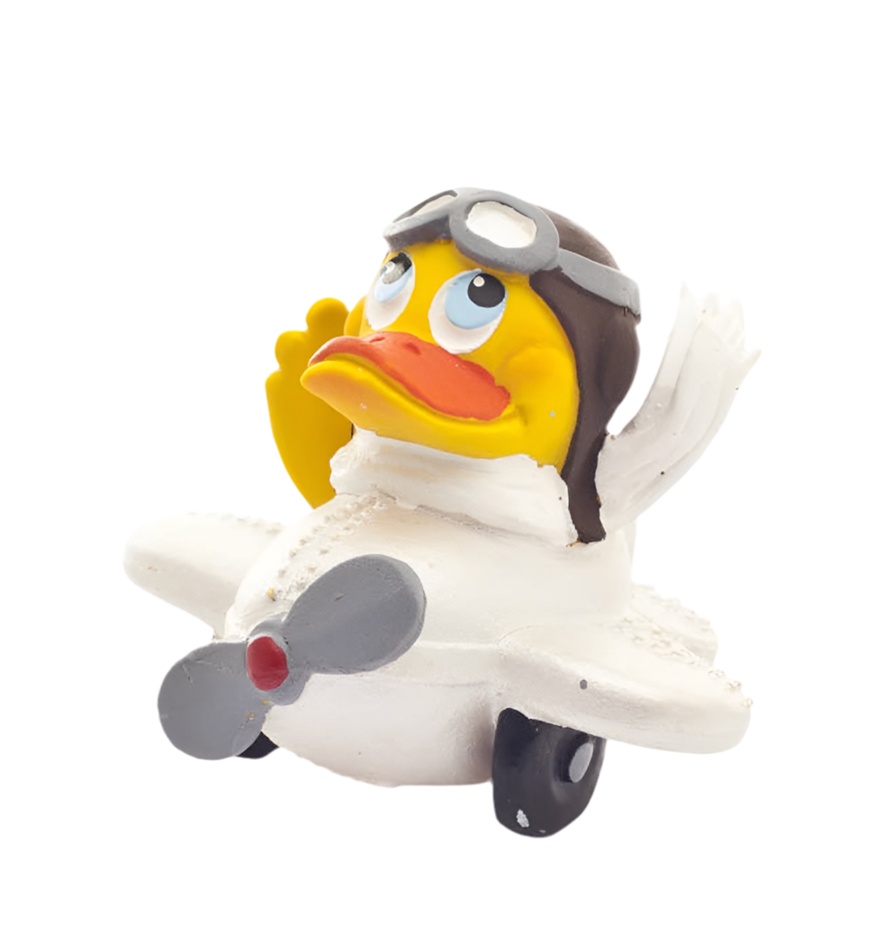 Flugzeugpilot-Ente