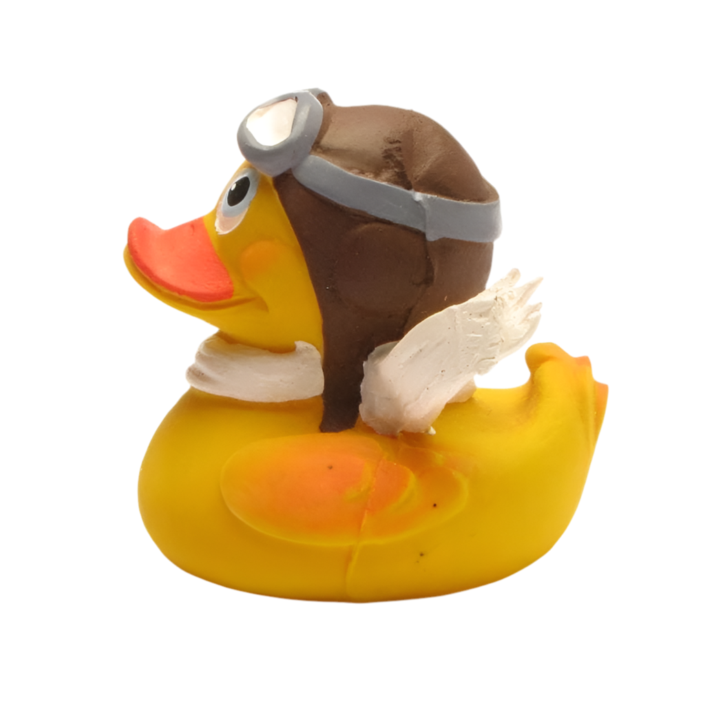 Canard Aviateur