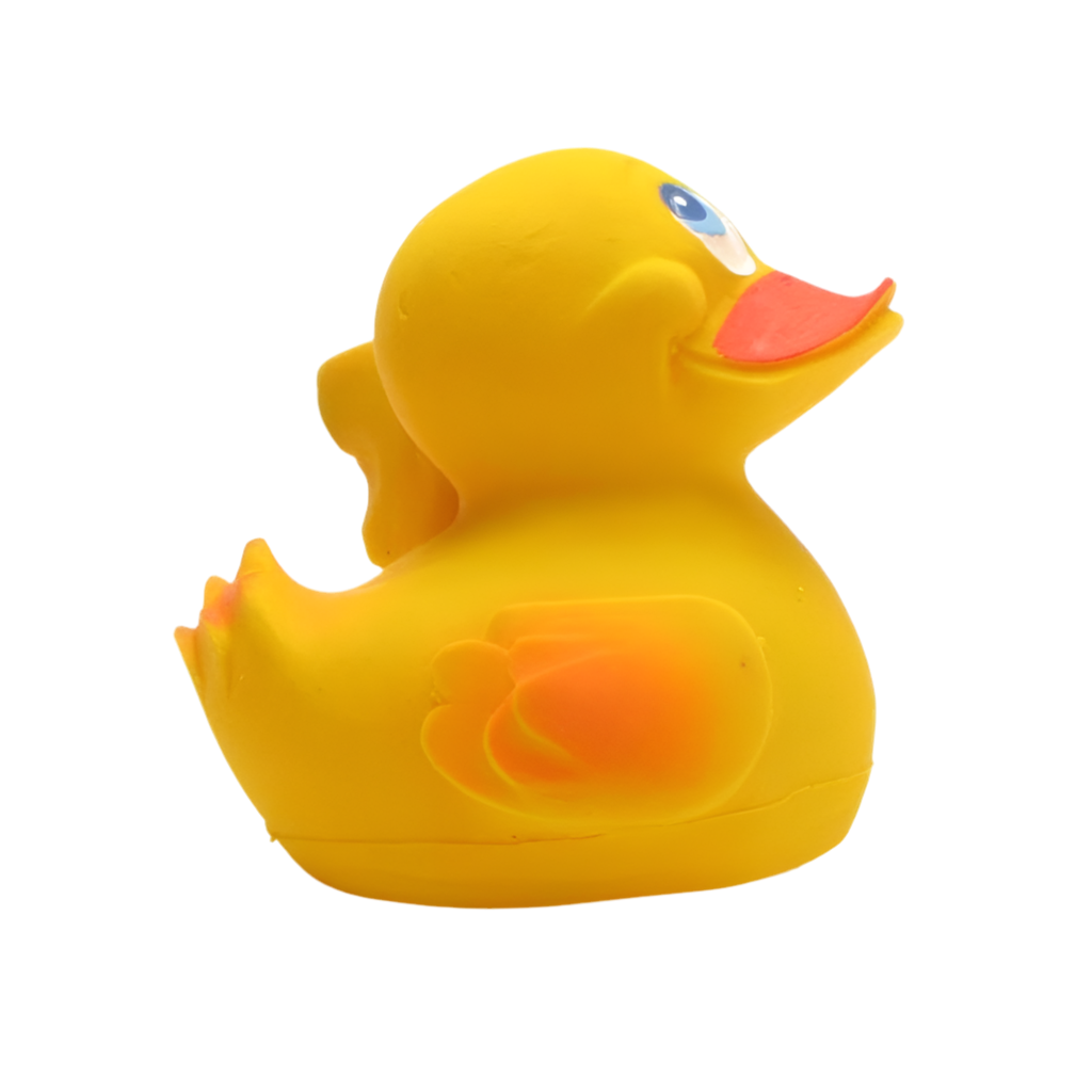Duck Germany