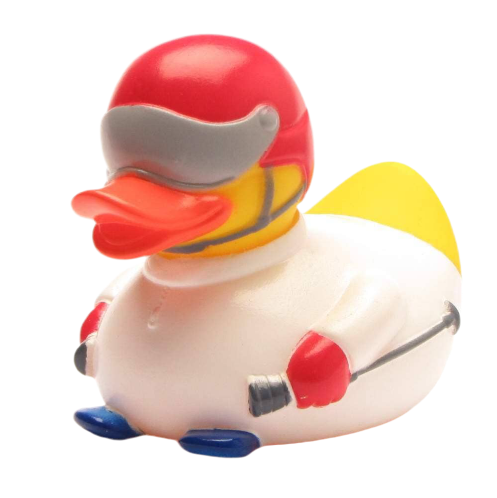 Canard Skieur