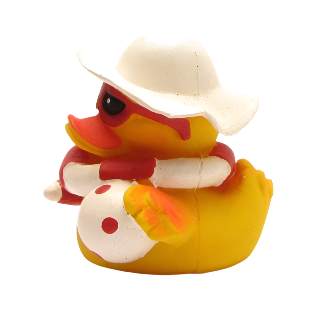 Canard à la Plage