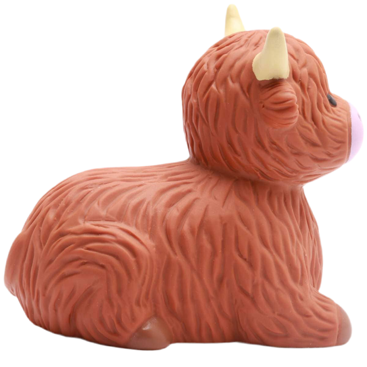 Vache des Highlands de Bain