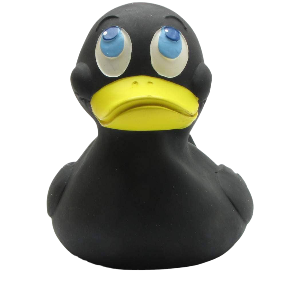 Canard Noir XXL