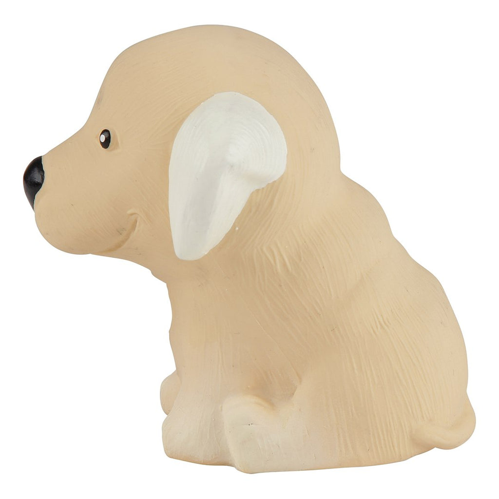 Puppy Parade Golden Retriever