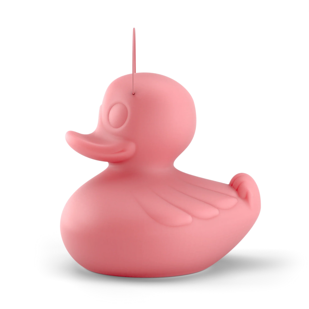Sculpture Canard DUCK-DUCK [MEGA DECO]