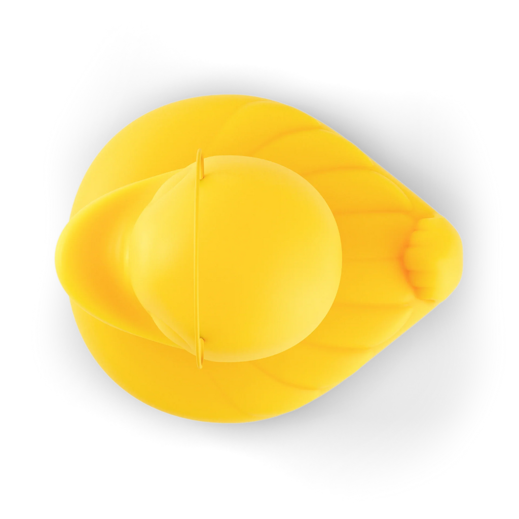 Sculpture Canard DUCK-DUCK [MEGA DECO]