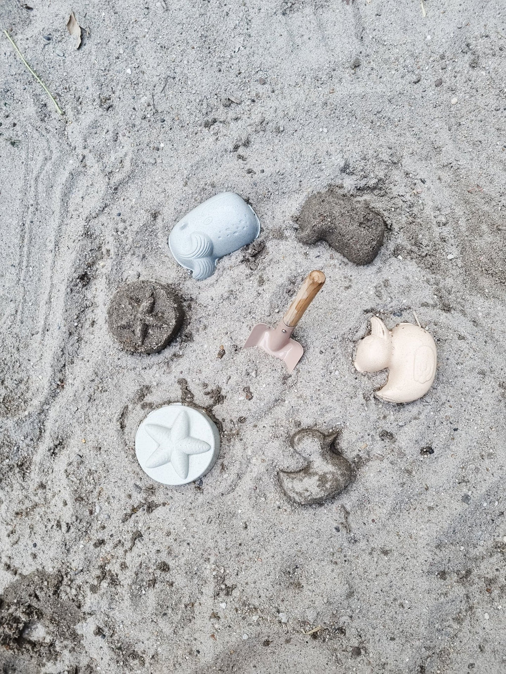 Set de matrițe de nisip de rață