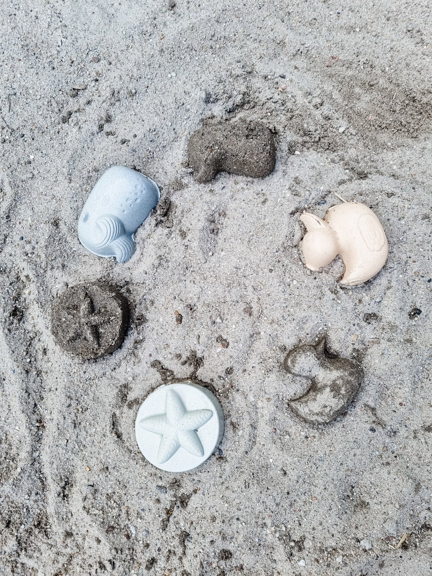 Set de matrițe de nisip de rață