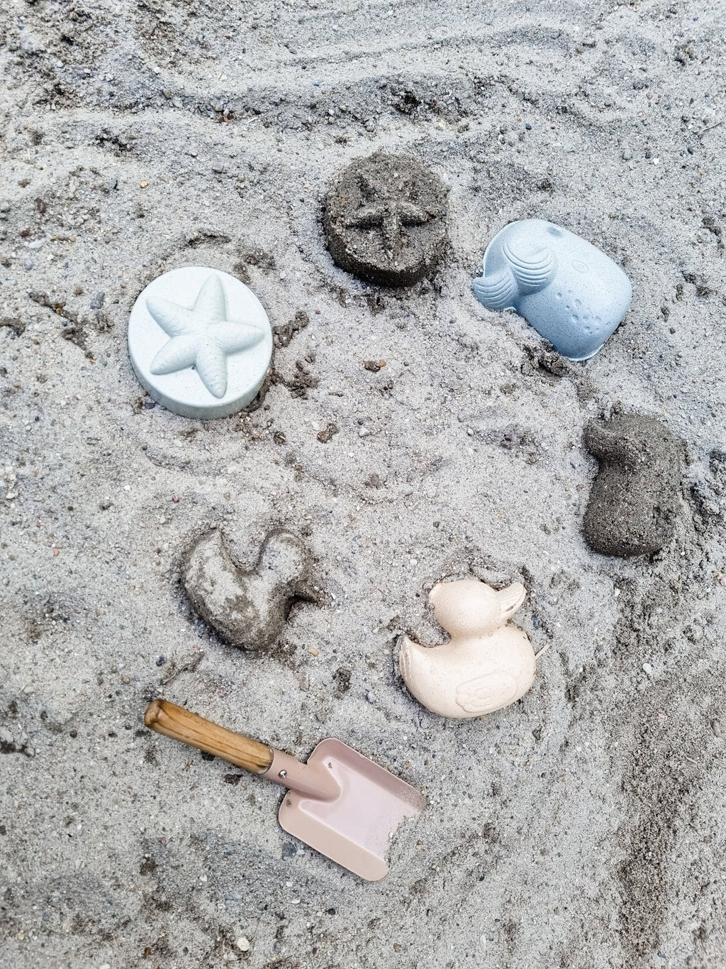 Set de matrițe de nisip de rață