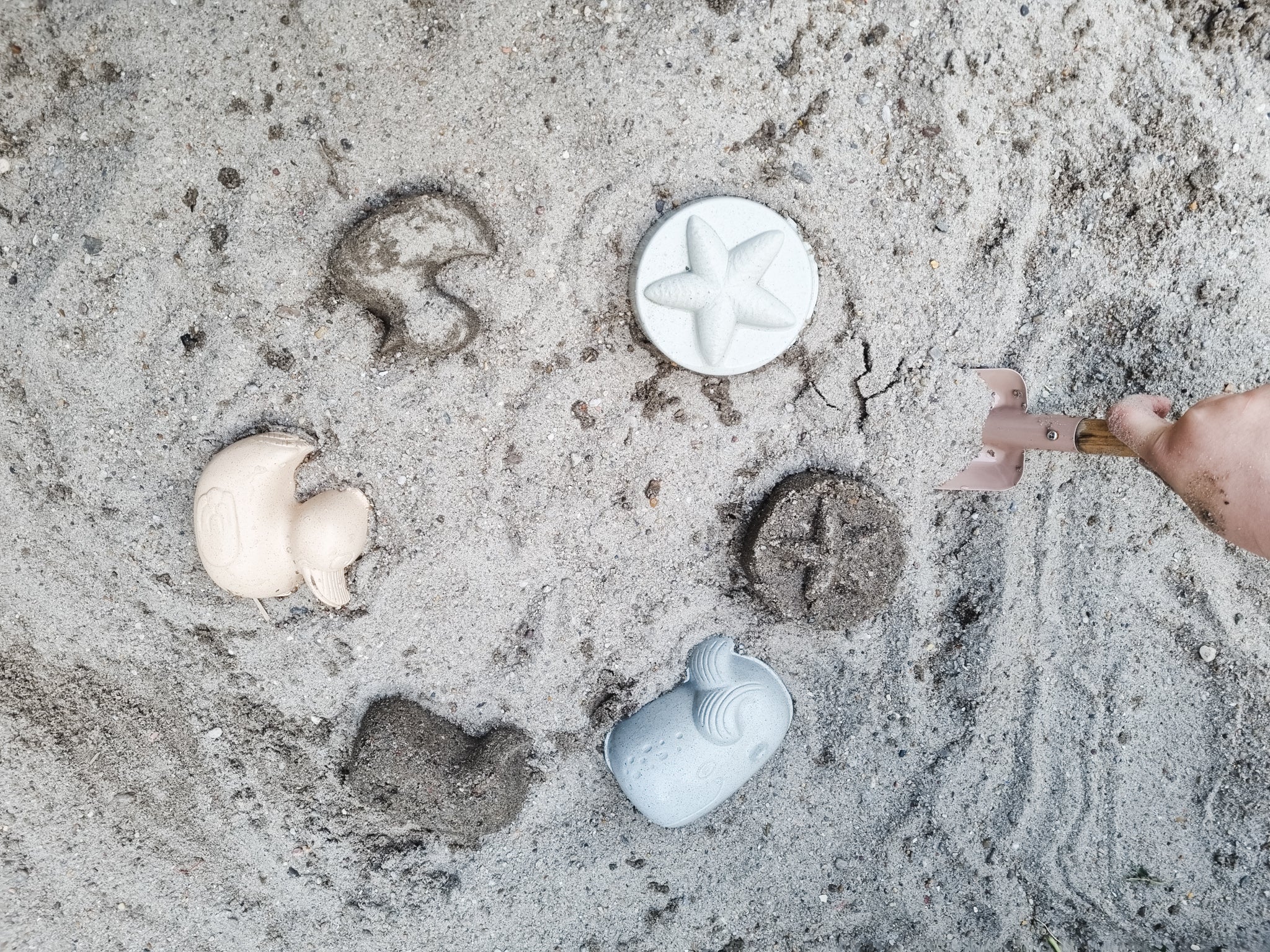 Set de matrițe de nisip de rață