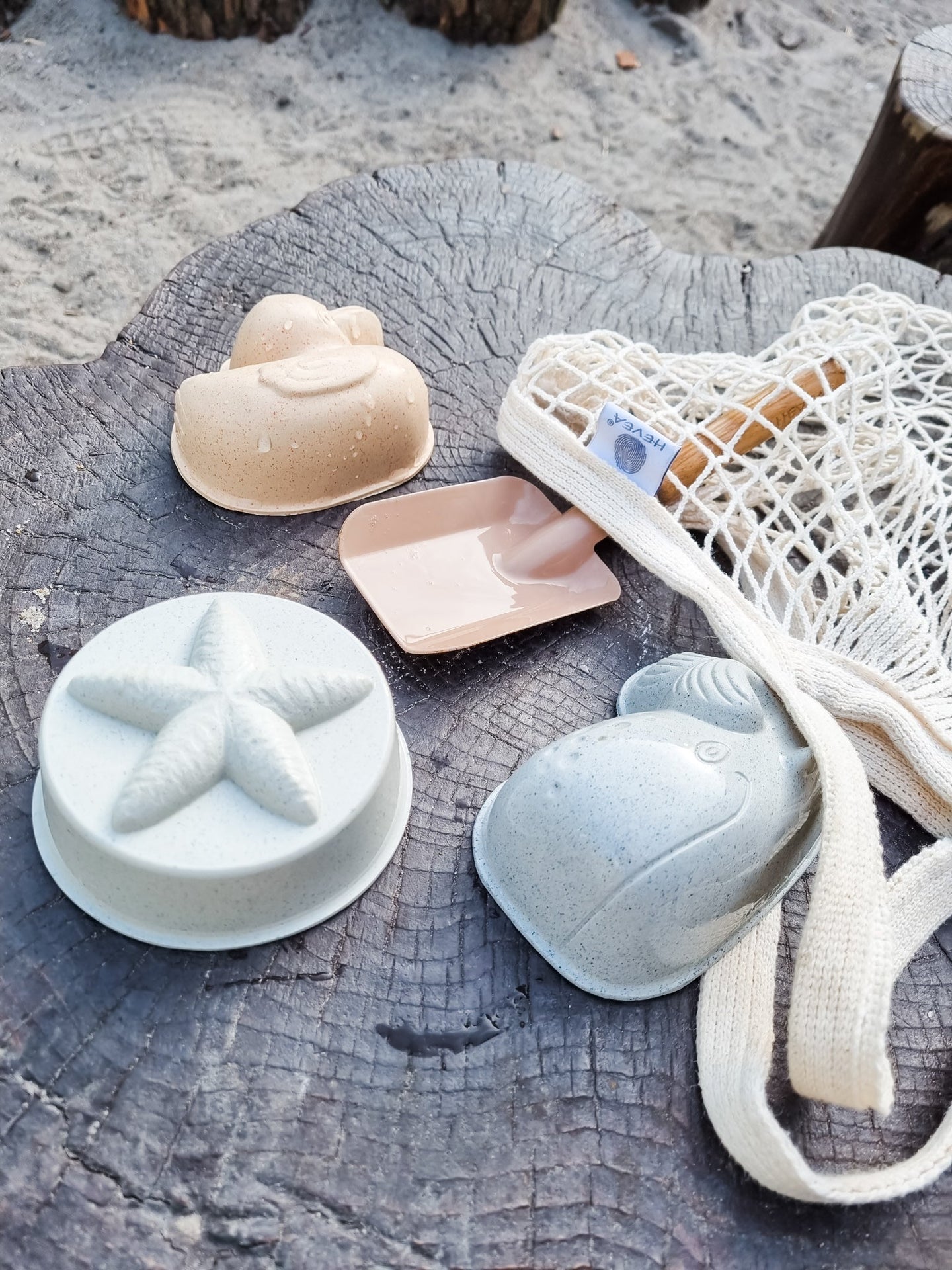 Set de matrițe de nisip de rață