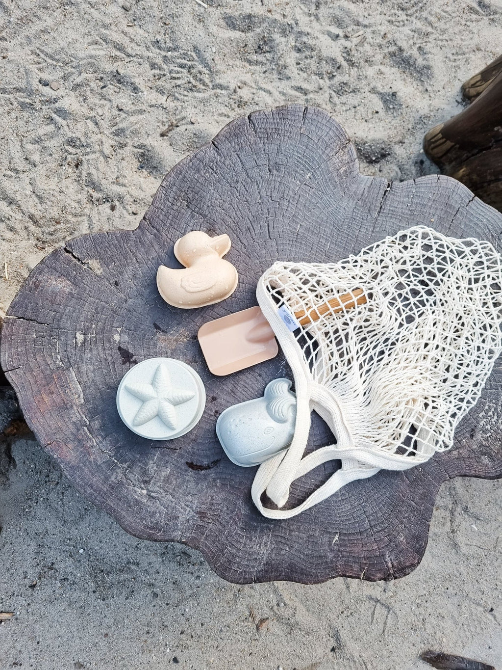 Set de matrițe de nisip de rață