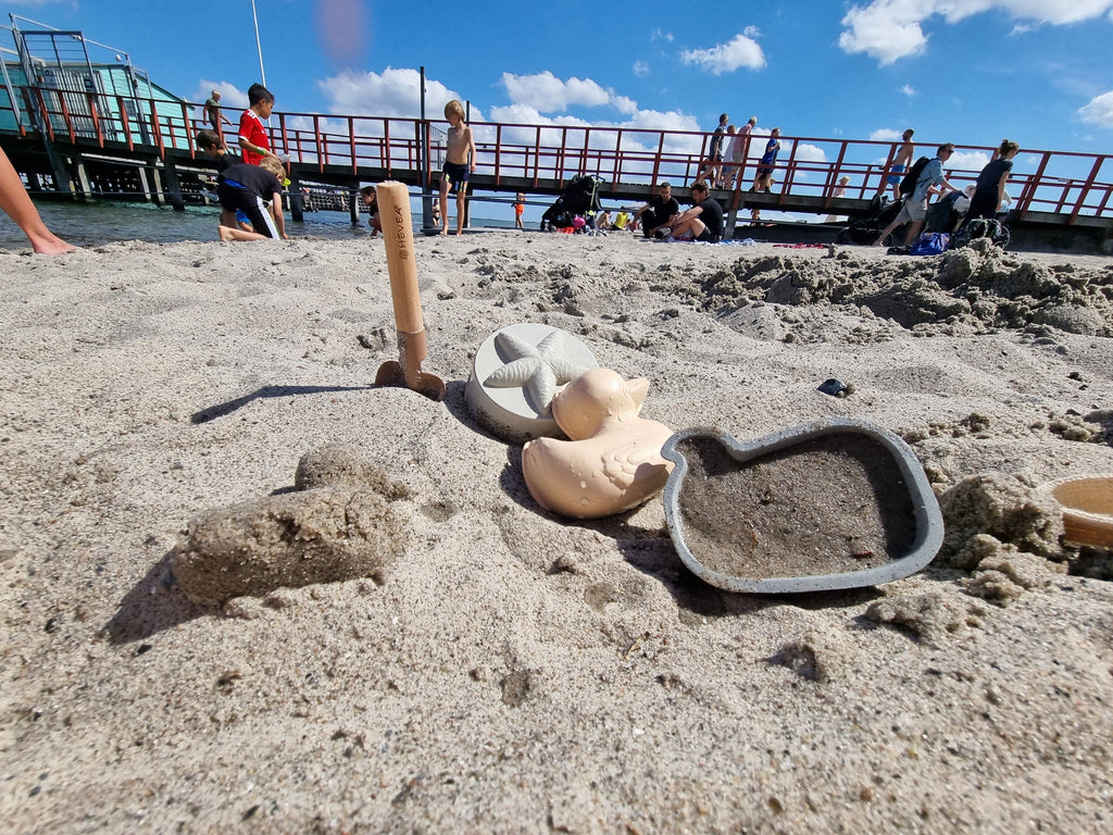 Set de matrițe de nisip de rață