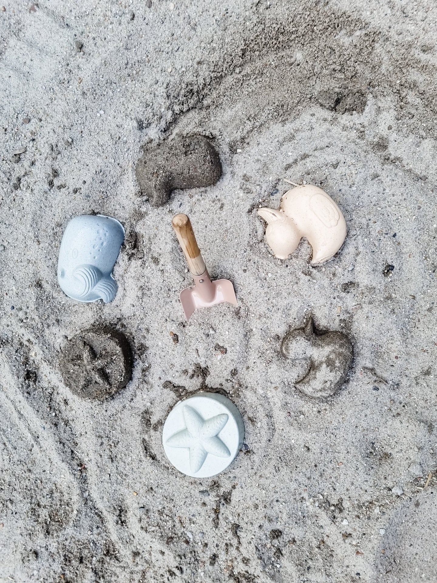 Set de matrițe de nisip de rață