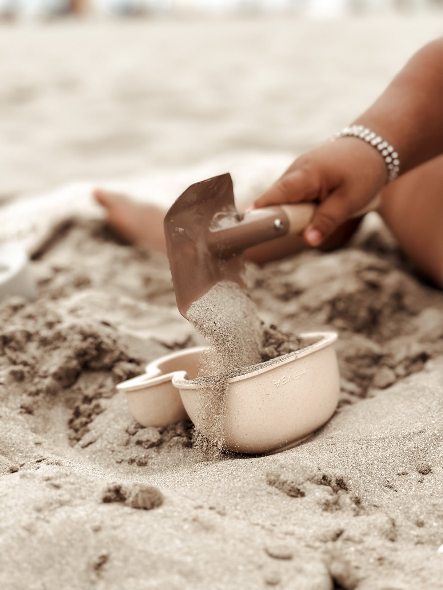 Set de matrițe de nisip de rață