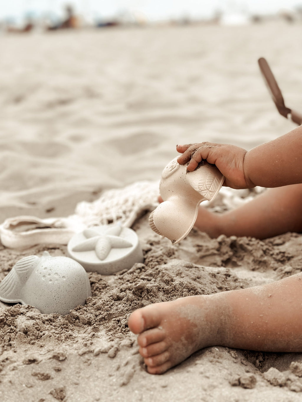 Set de matrițe de nisip de rață