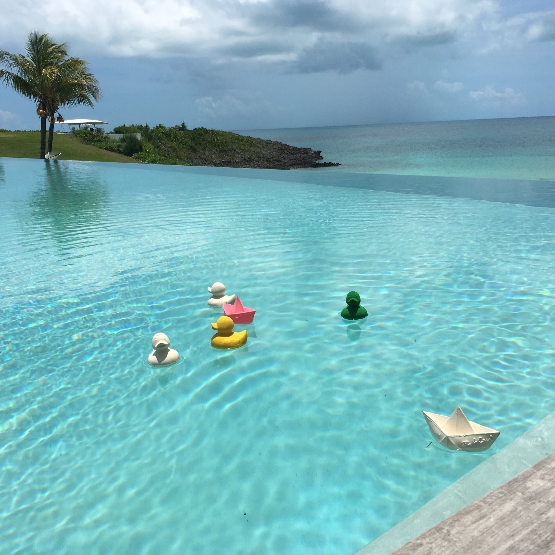 Produit Elvis Le Canard Vert Cadeau Geek