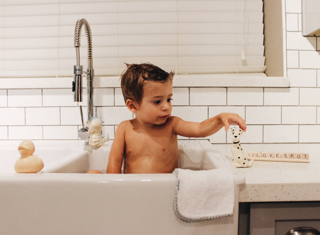 Produit Elvis Le Canard Nude Poster Déco