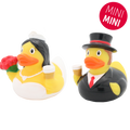 mini-canards-maries