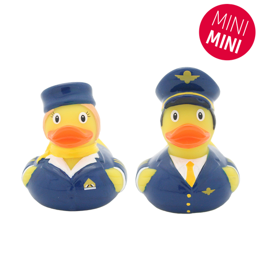 Mini Ducks Airline.