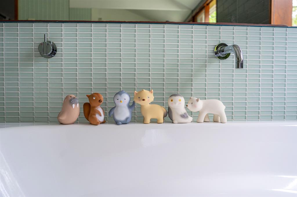 Mes Premiers Animaux Arctiques
