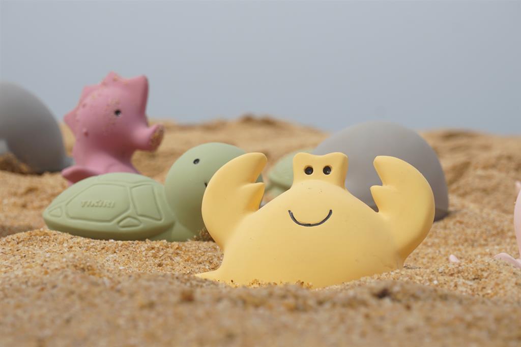 Mes Premiers Animaux Marins