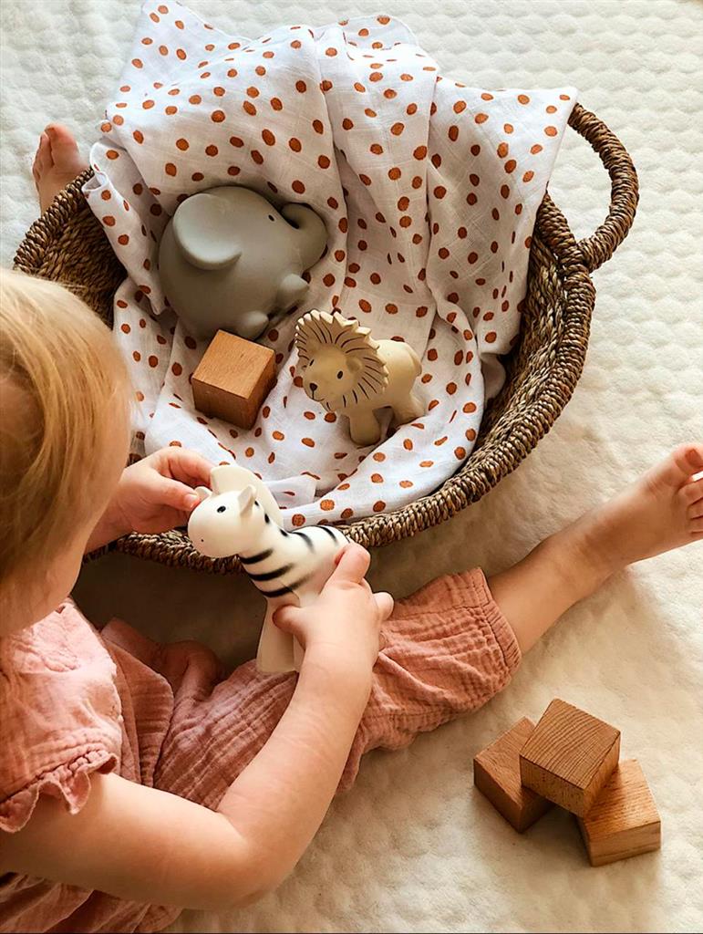 Mes Premiers Animaux du Zoo