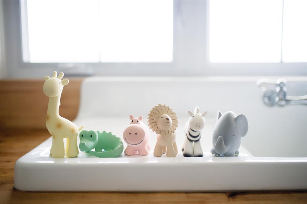 Mes Premiers Animaux du Zoo
