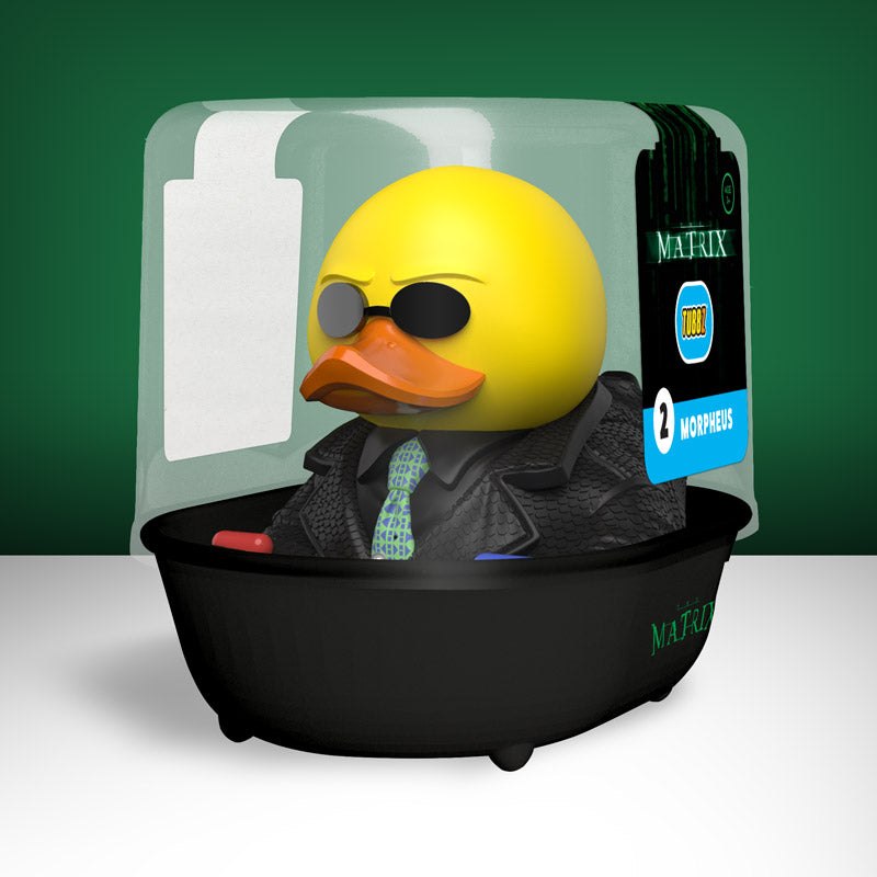 Canard Morpheus