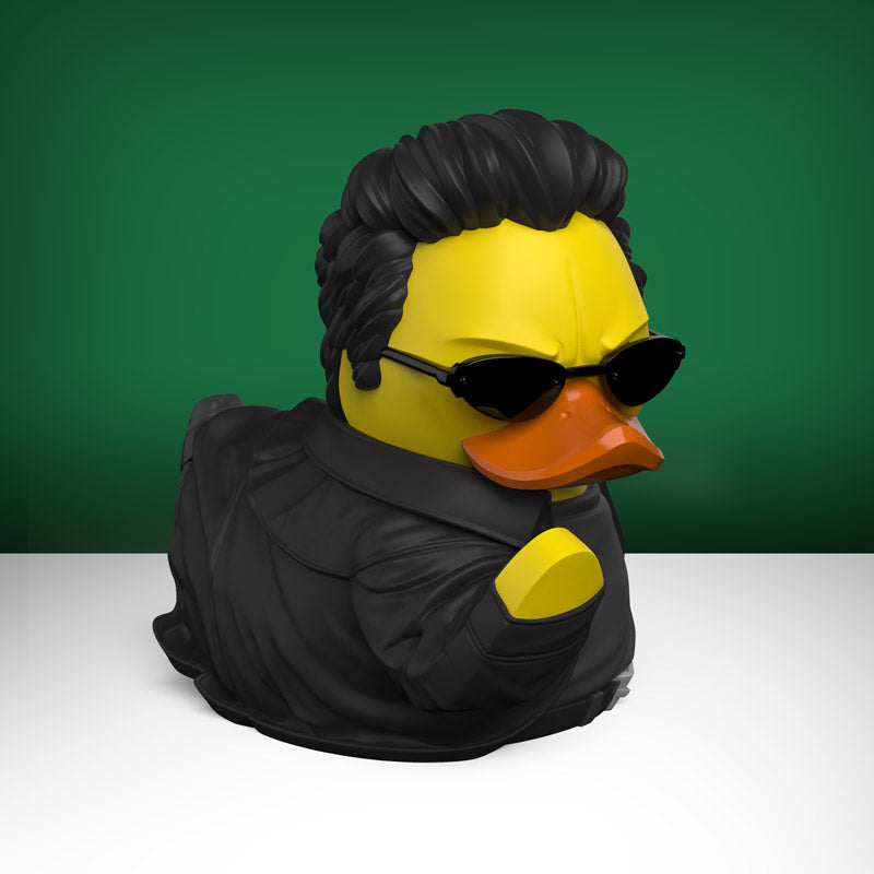 Canard Neo