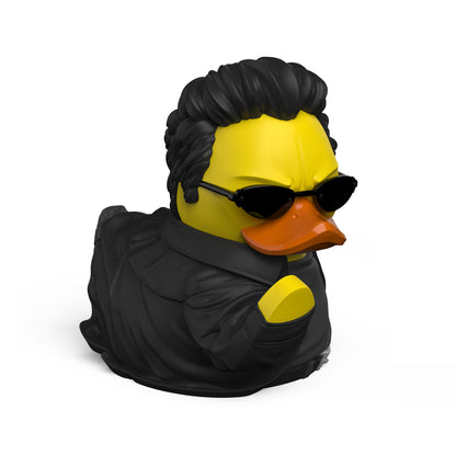 Canard Neo