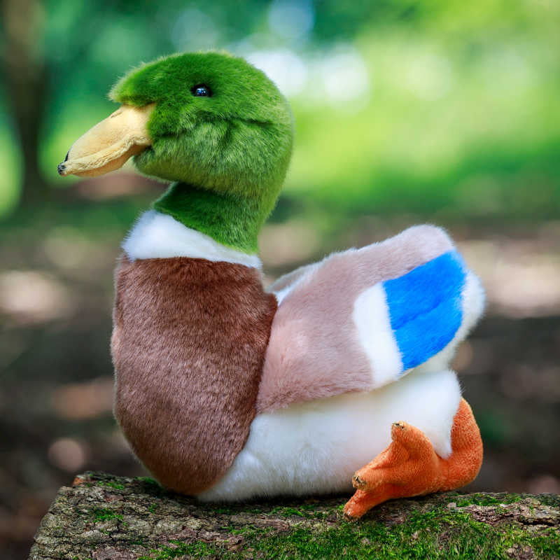 Peluche Animigos Canard Colvert Tobar