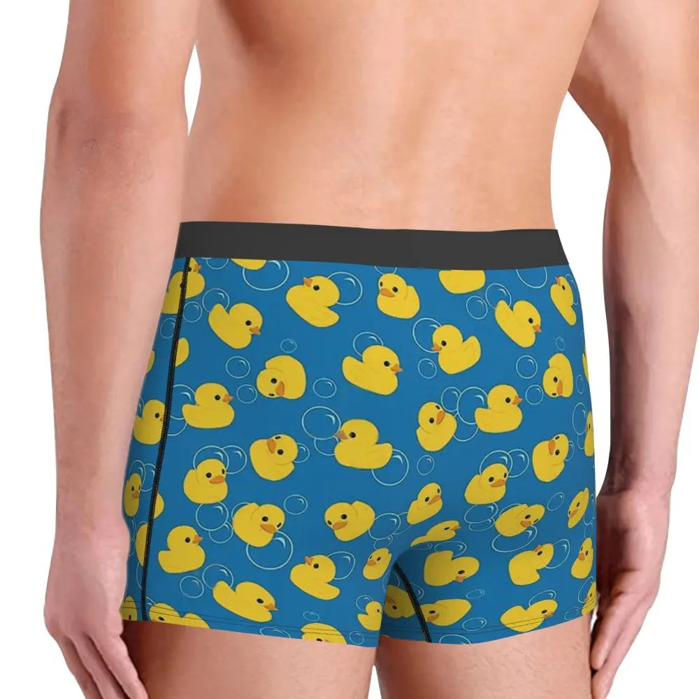 Boxer patos burbujas