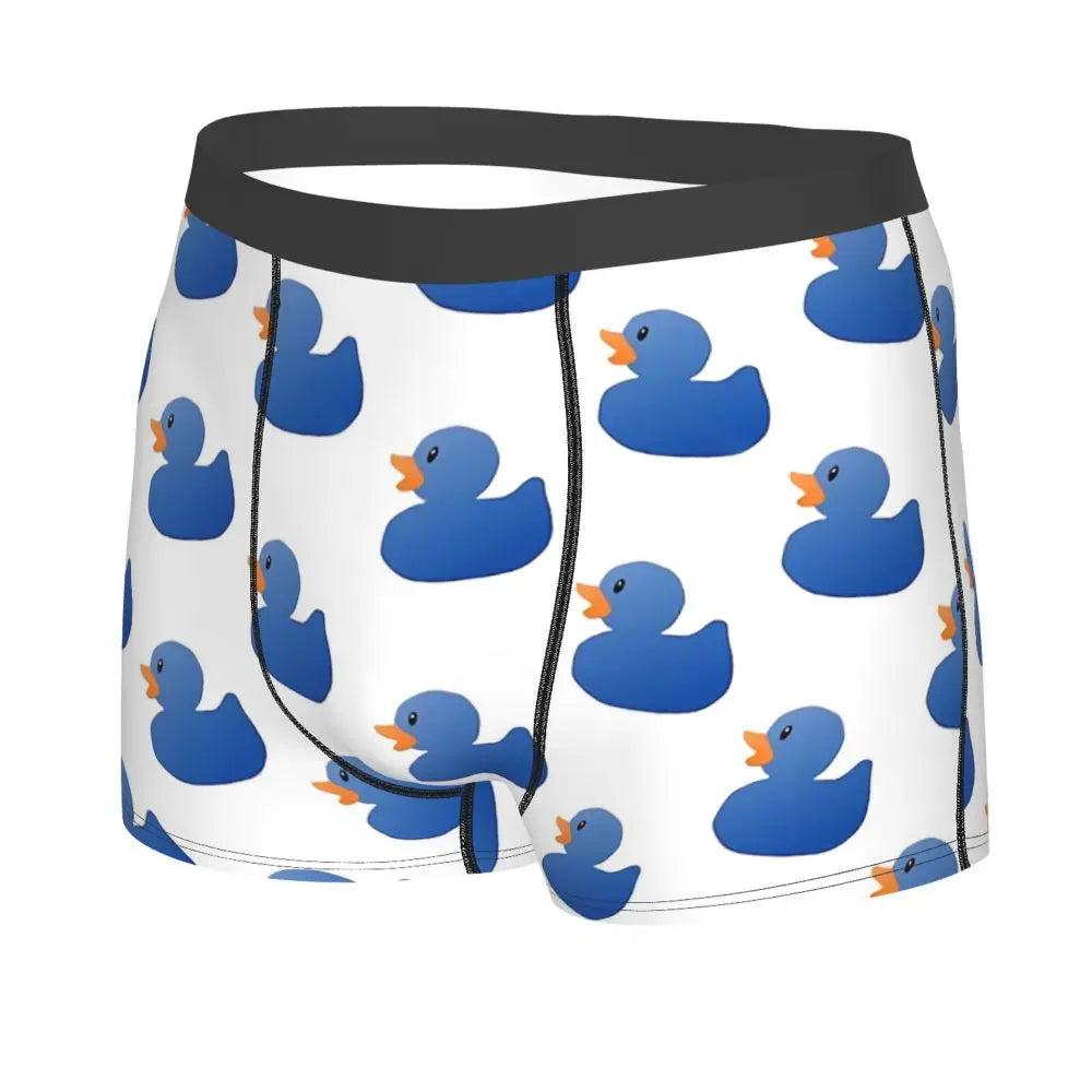 boxer canards bleus
