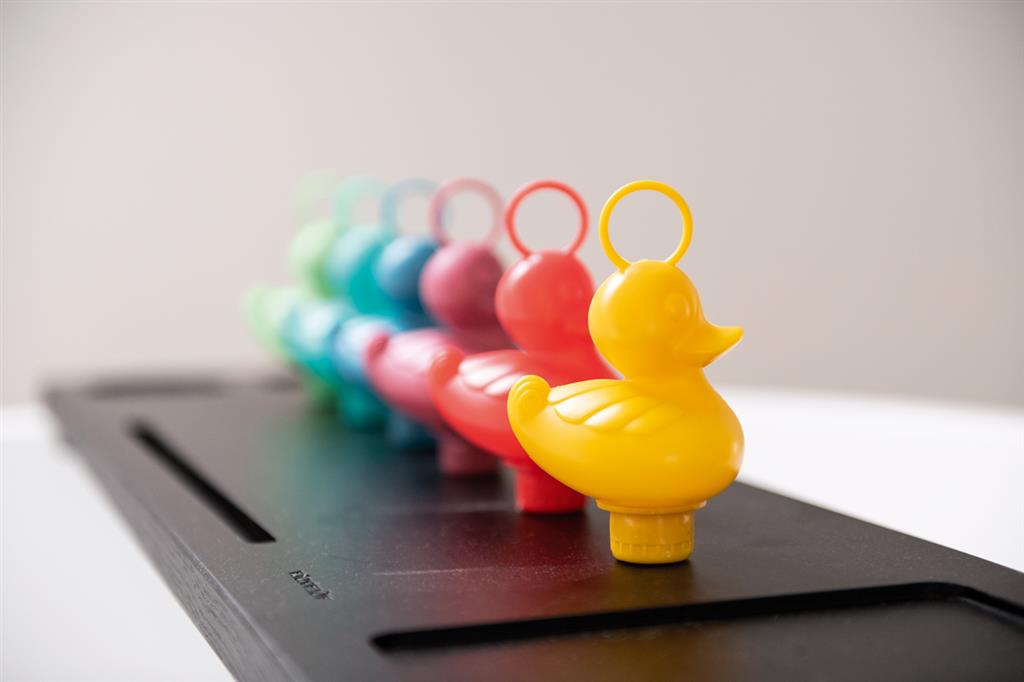 Vissende Duck Box - Rainbow