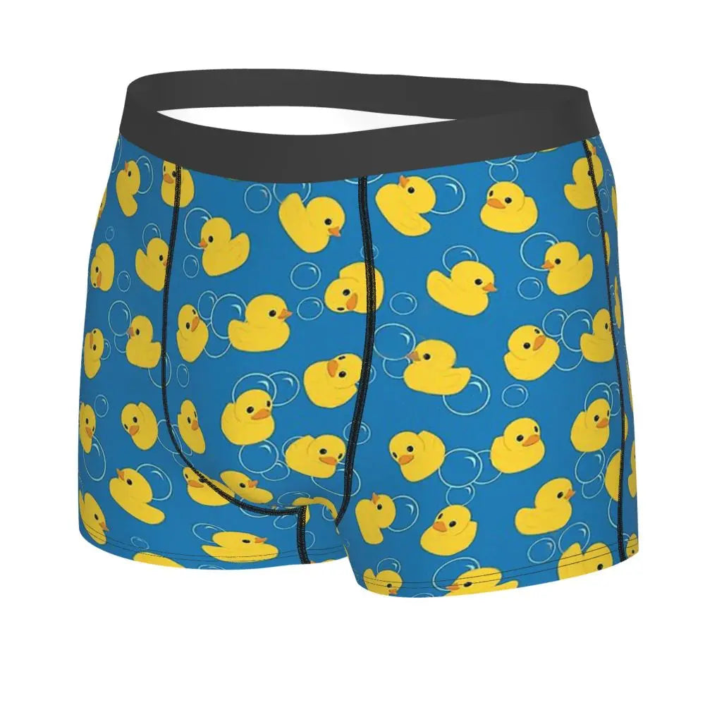 Boxer patos burbujas