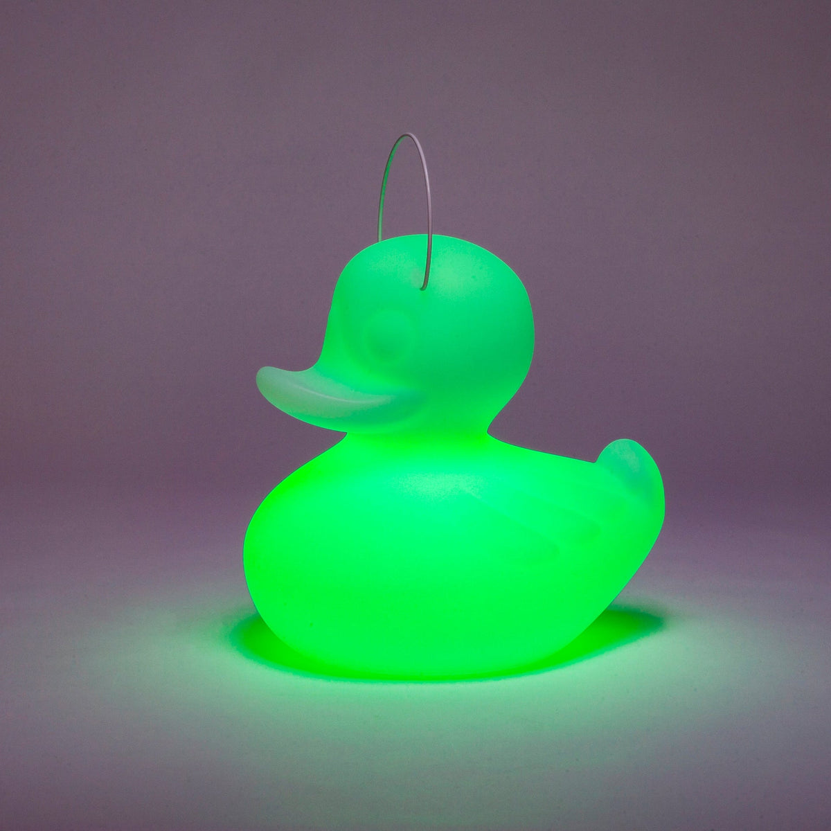 Lampe Canard DUCK-DUCK [Petite]