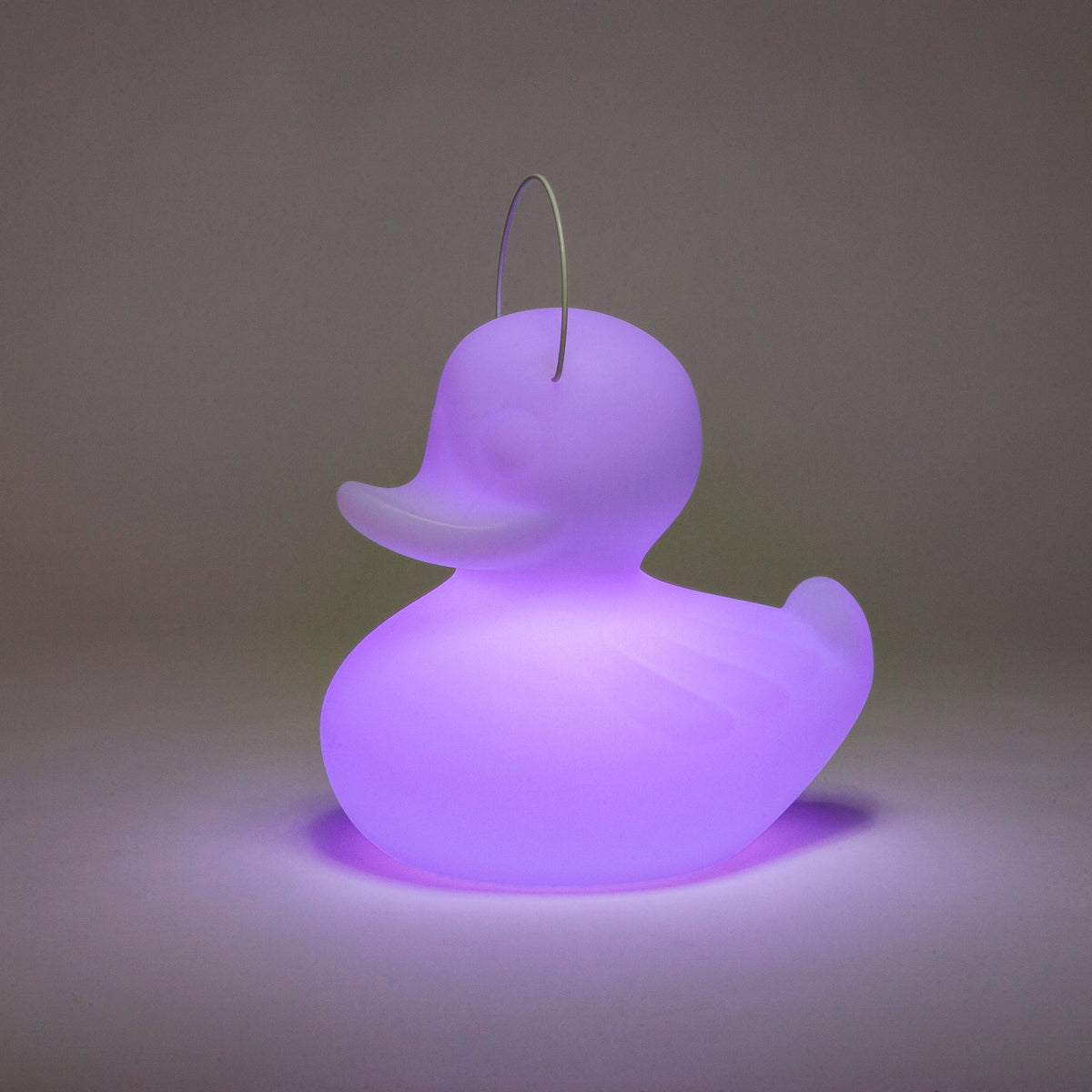 Lampe Canard DUCK-DUCK [Petite]
