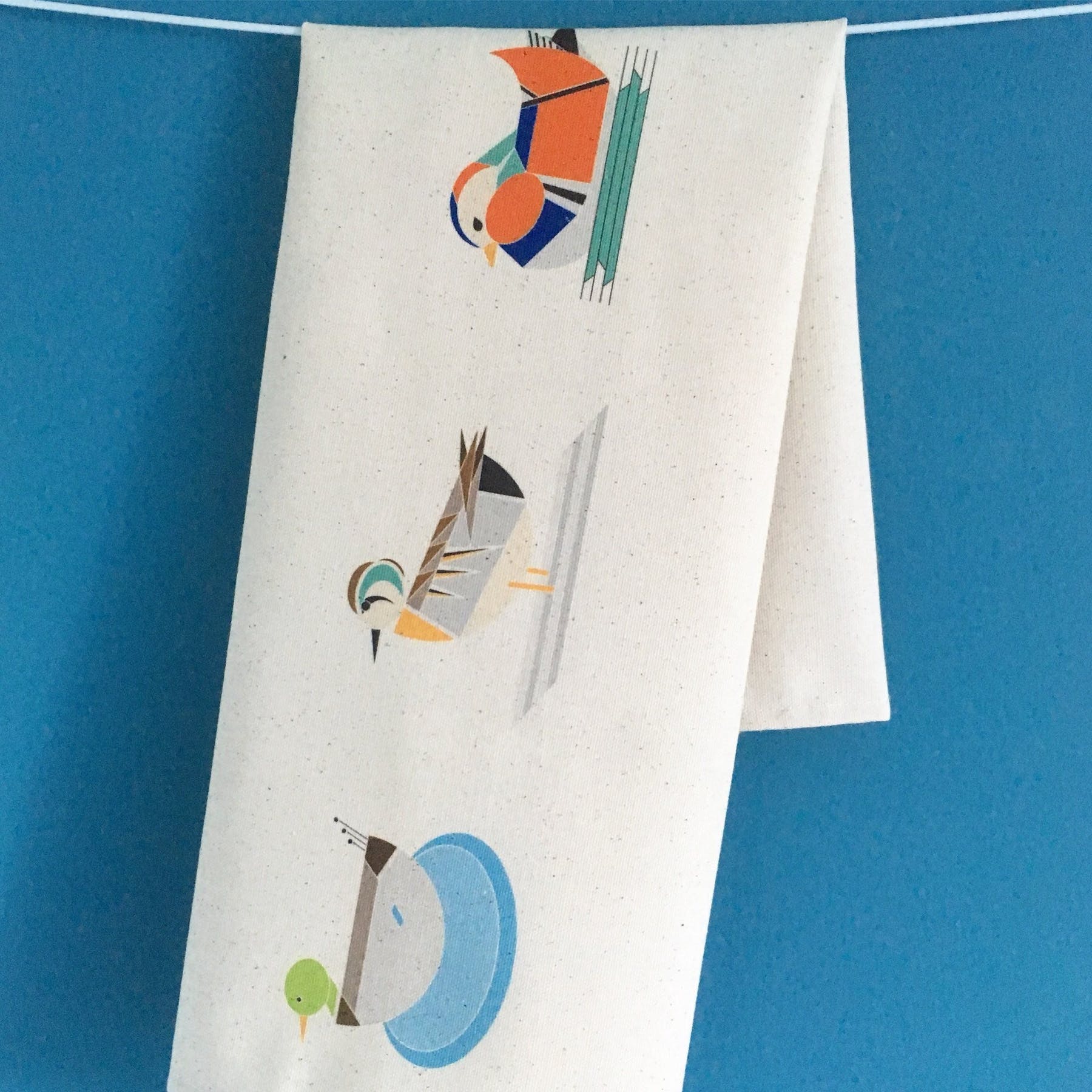 torchon-5-canards-ellie-good-illustration