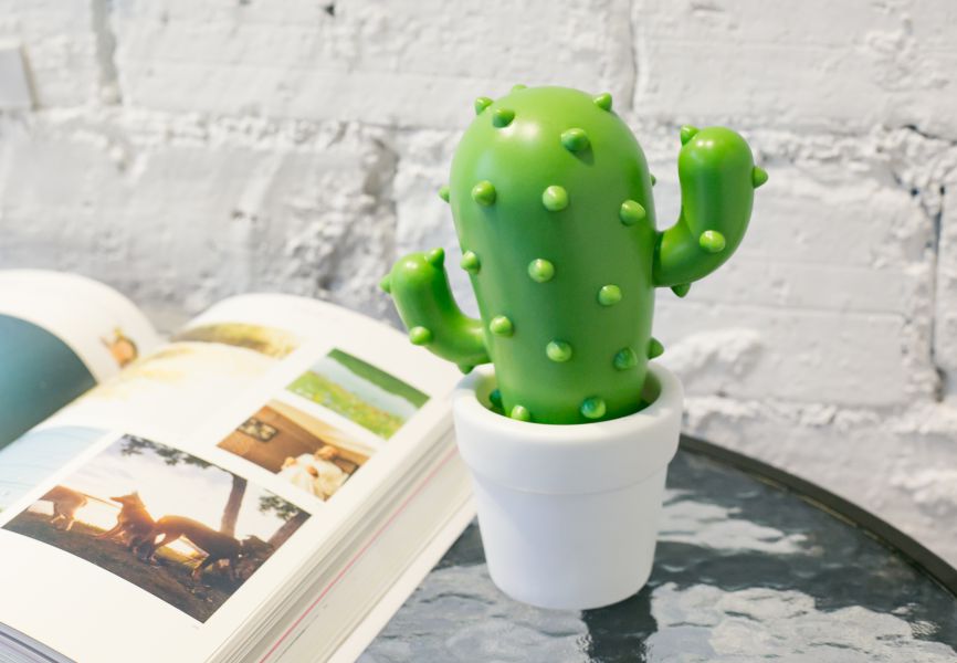 Veilleuse Cactus