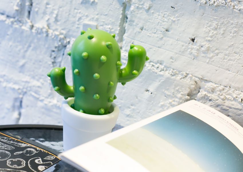Veilleuse Cactus
