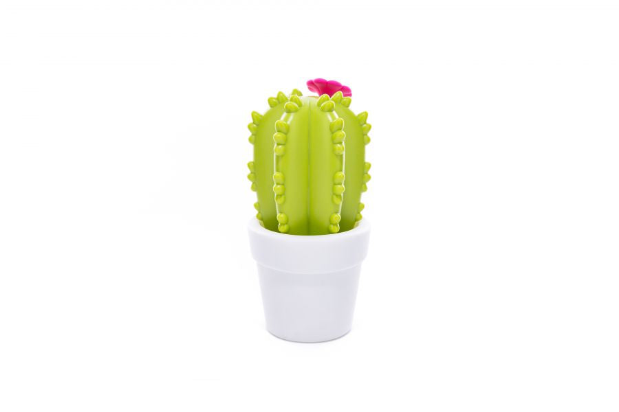 Veilleuse Cactus Fleur
