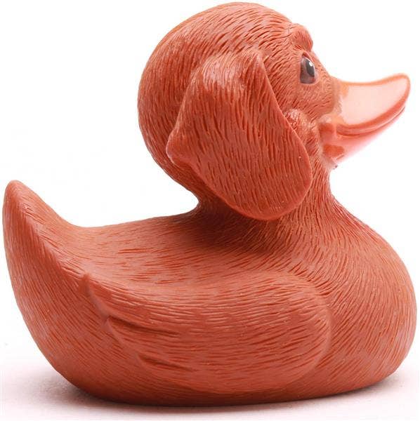 Canard Teckel