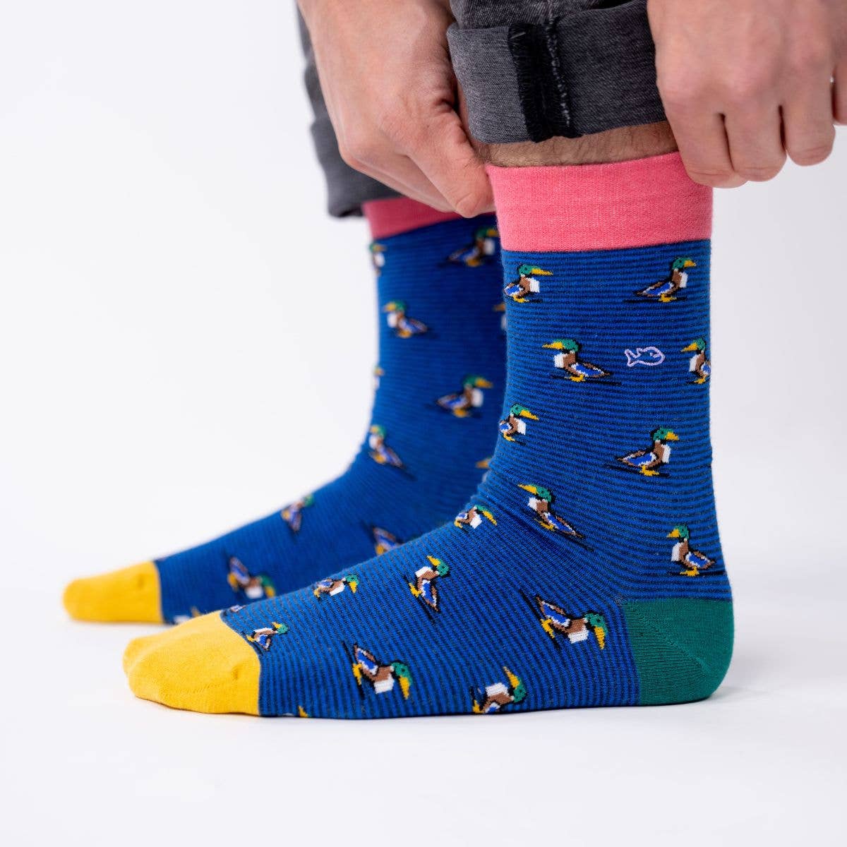 Chaussettes en coton peigné Canard Colvert