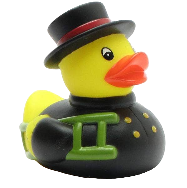 Chimney Sweep Duck