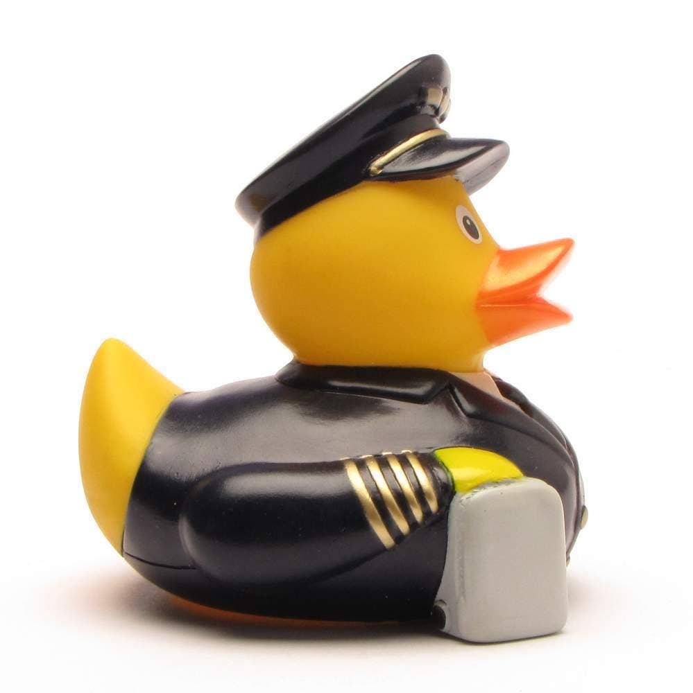 Canard Pilote de l’air