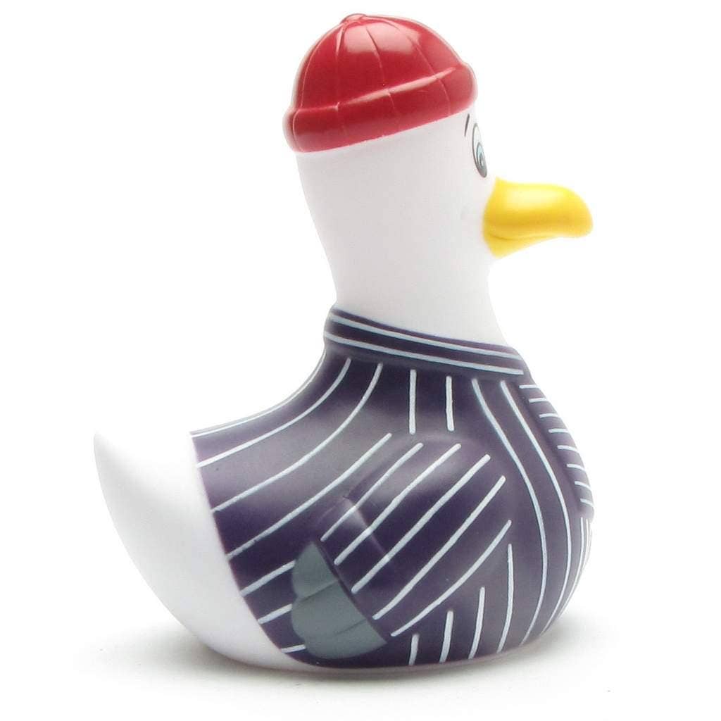 Möwe