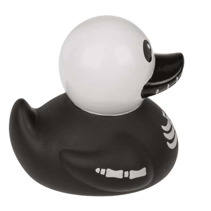 Canard Squelette